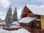Cabana-unchiul-tom - Cazare in Vartop - 