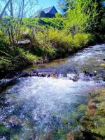 Cazare in Arieseni - PENSIUNEA VALEA  GALBENEI - Arieseni - click aici, pentru marirea pozei