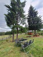 Cazare in Arieseni - CASA POIANA FLORILOR - Vartop - click aici, pentru marirea pozei