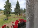 Cazare in Arieseni - CASA POIANA FLORILOR - Vartop - click aici, pentru marirea pozei