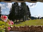 Cazare in Arieseni - CABANA ANDRE - Vartop - click aici, pentru marirea pozei