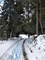 Cazare in Arieseni - CASA  ESTERA - Arieseni - click aici, pentru marirea pozei
